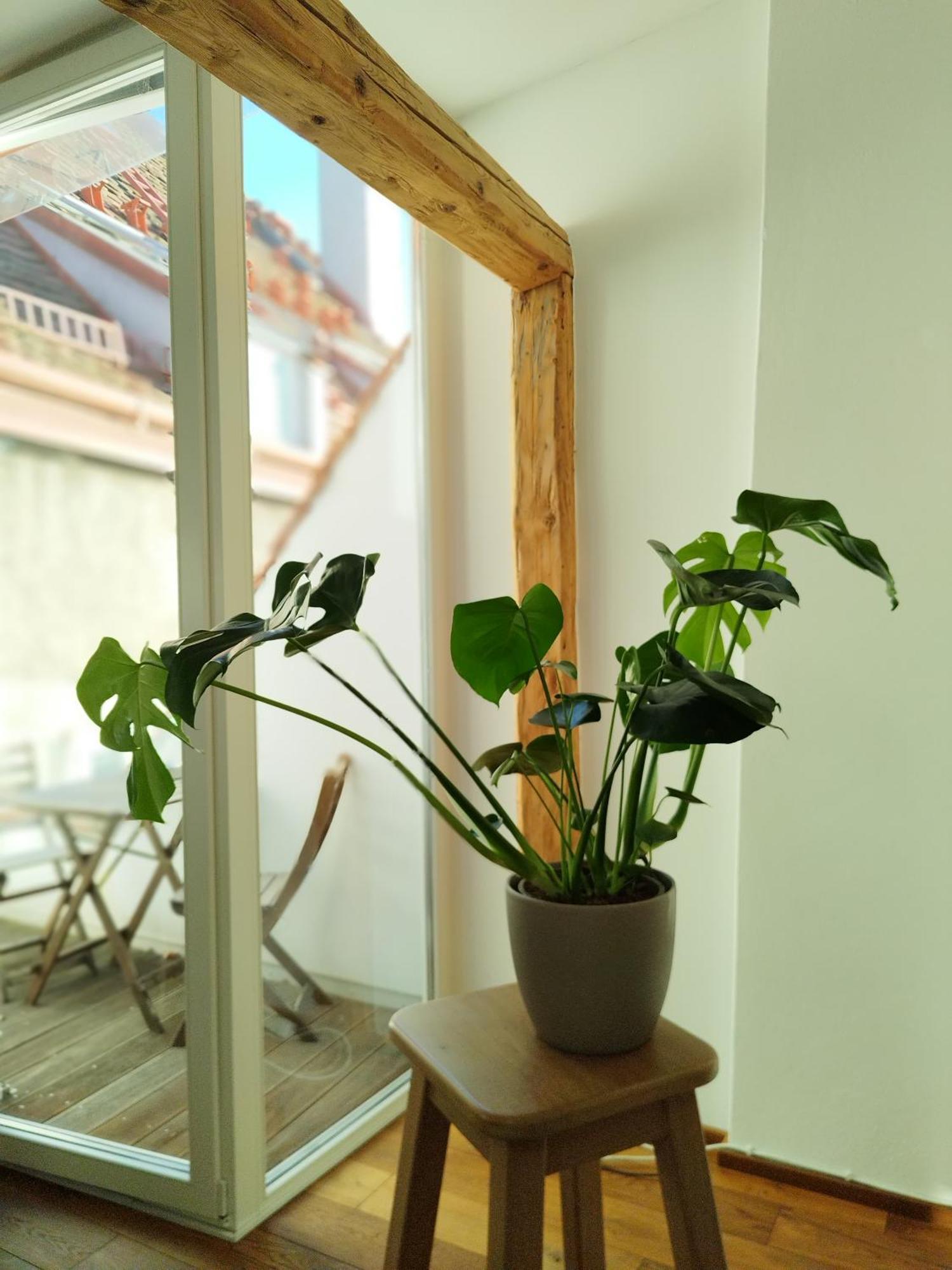 Goldene Pastete - Urban Luxury Apartments Graz Exterior photo